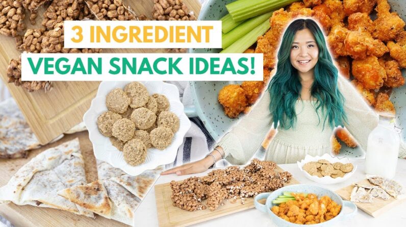 3 INGREDIENT VEGAN SNACK IDEAS + How to Make Dairy-Free Milk!
