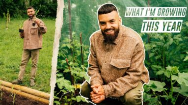 What a Chef Grows in his KITCHEN GARDEN 🌱 tour!!!!!