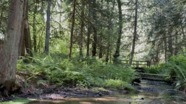 Fitness Blender 5 Day Challenge Day 7: Guided Mindfulness Meditation for Relaxation and Recovery