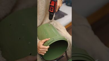 You Can Grow Oyster Mushrooms At HOME!!! 🍄