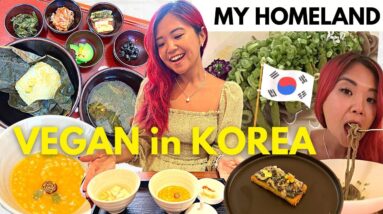 VEGAN IN KOREA 🇰🇷 Visiting My Home Country For the First Time in 11 Years! Vlog #1