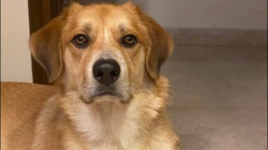 I would love your feedback on my two new #shorts