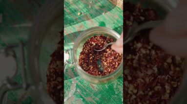 Make Pesto Using Kitchen Scaps 🥕🗑️