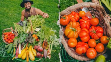 Beginner Gardeners Homestead Will Blow Your Mind | Live Tour