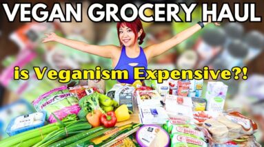 HUGE BUDGET-FRIENDLY VEGAN GROCERY HAUL: How Much do Vegan Groceries Cost in 2023?