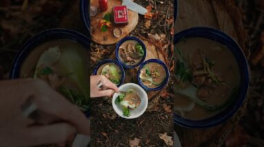 Winter Survival Food, Shroom Forage & Forest Cook 🪵 #foraging #mushrooms #cooking #asmr