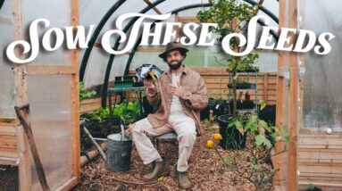 Sow These Weird Seeds This Spring 👨‍🌾