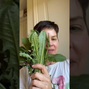 Liver Detox Dandelion Green Juice