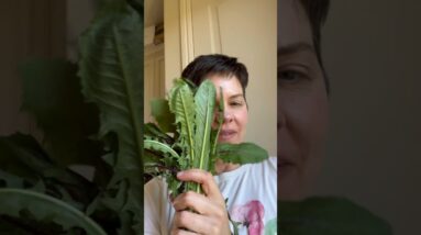 Liver Detox Dandelion Green Juice